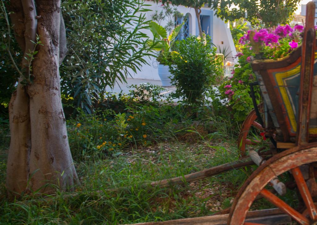 Aggello Boutique Hotel Stalís Ngoại thất bức ảnh